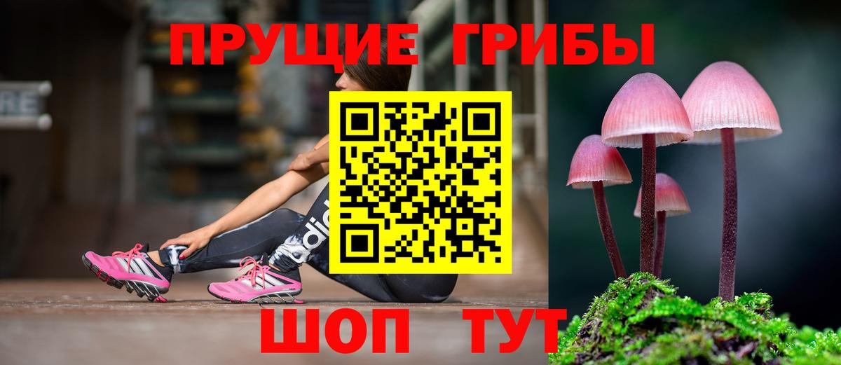 Псилоцибиновые грибы MAGIC MUSHROOMS Богородицк