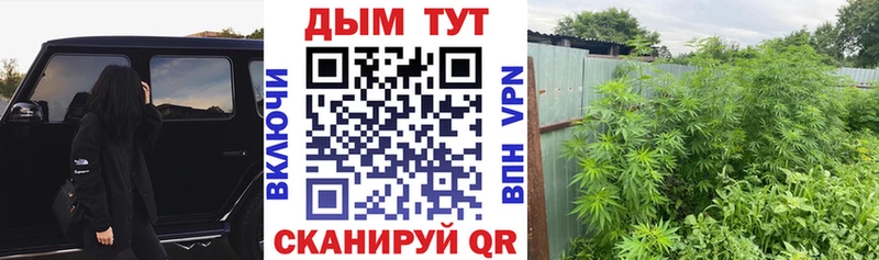 Канабис OG Kush  Богородицк 