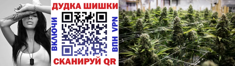 Шишки марихуана план Богородицк